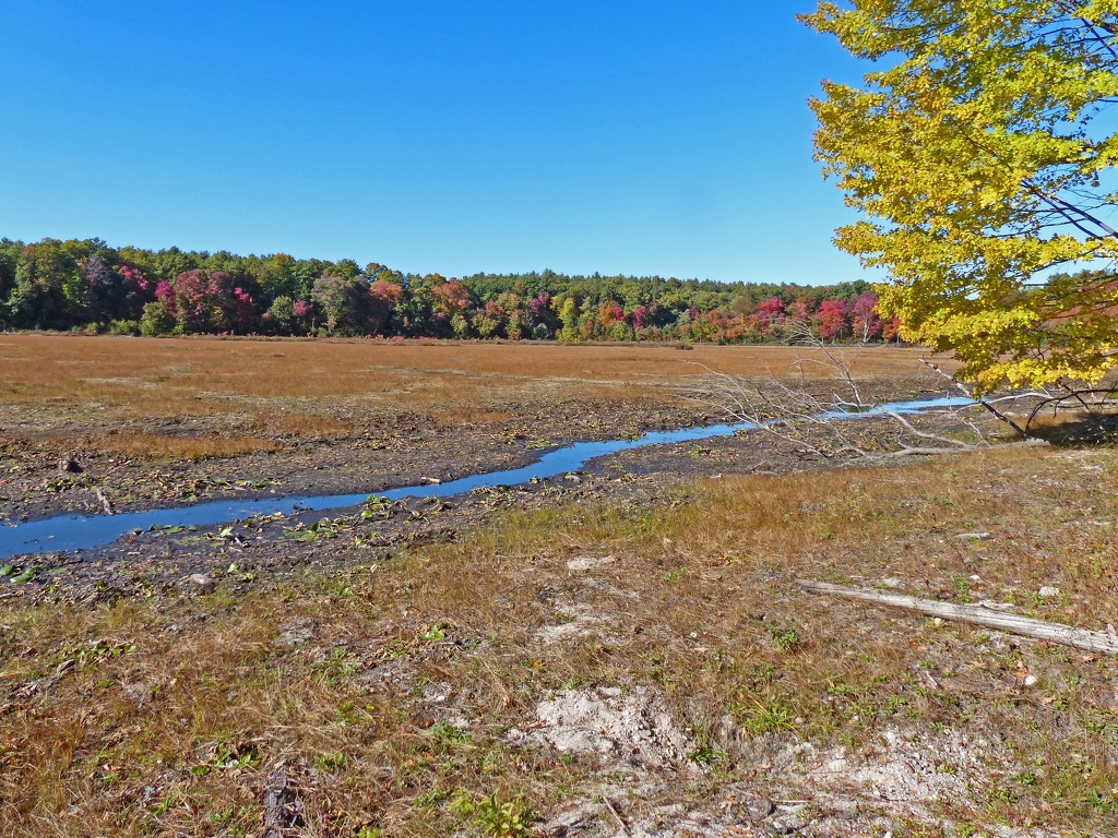 GreatPond,October2016 by Gil Kleiner