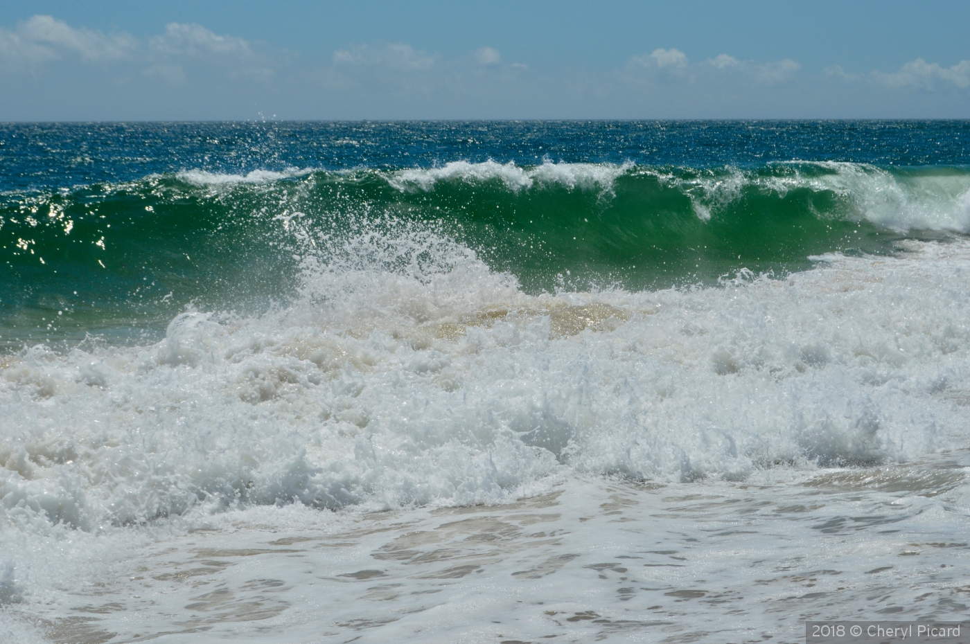 Green Wave by Cheryl Picard