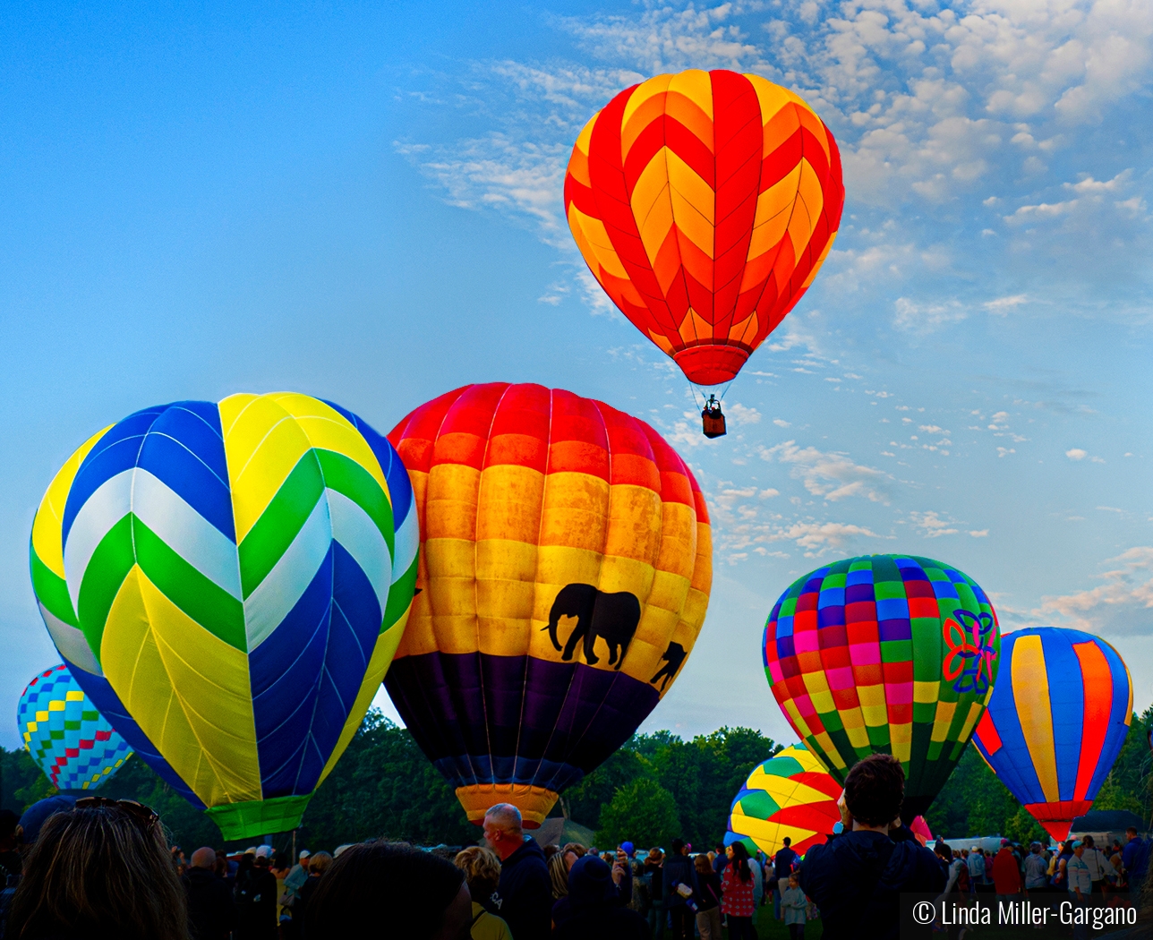 Heading for the Heavens by Linda Miller-Gargano