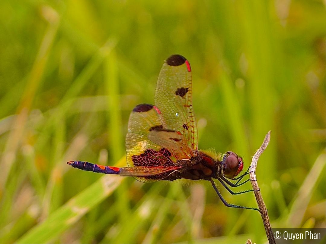 Holding On by Quyen Phan