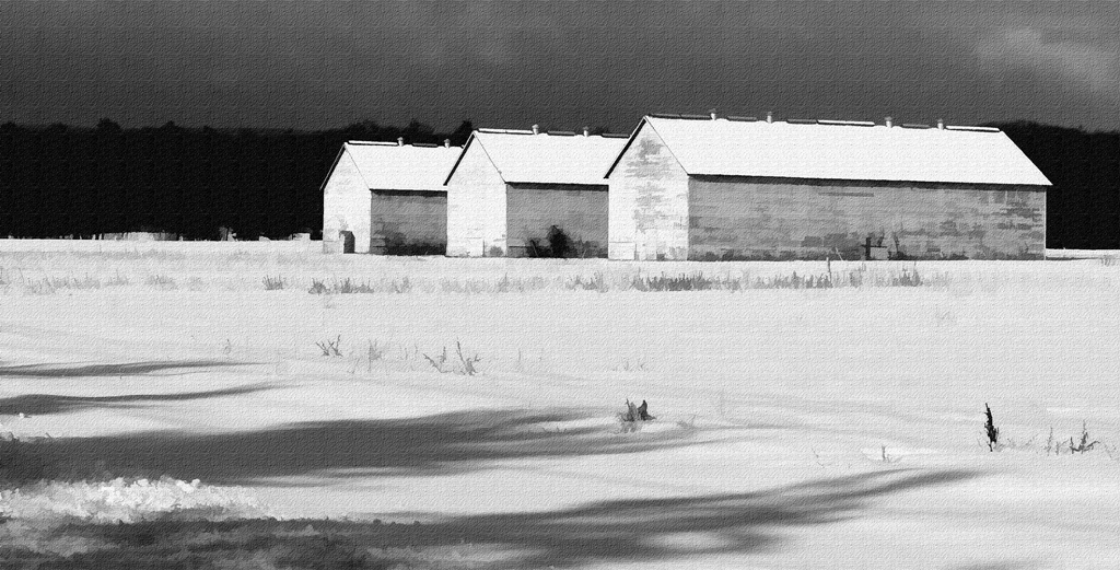 Hoskins Barns by Bruce Metzger