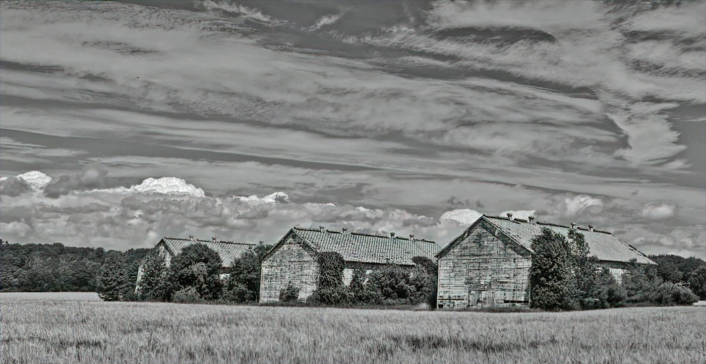 Hoskins Barns by Bruce Metzger