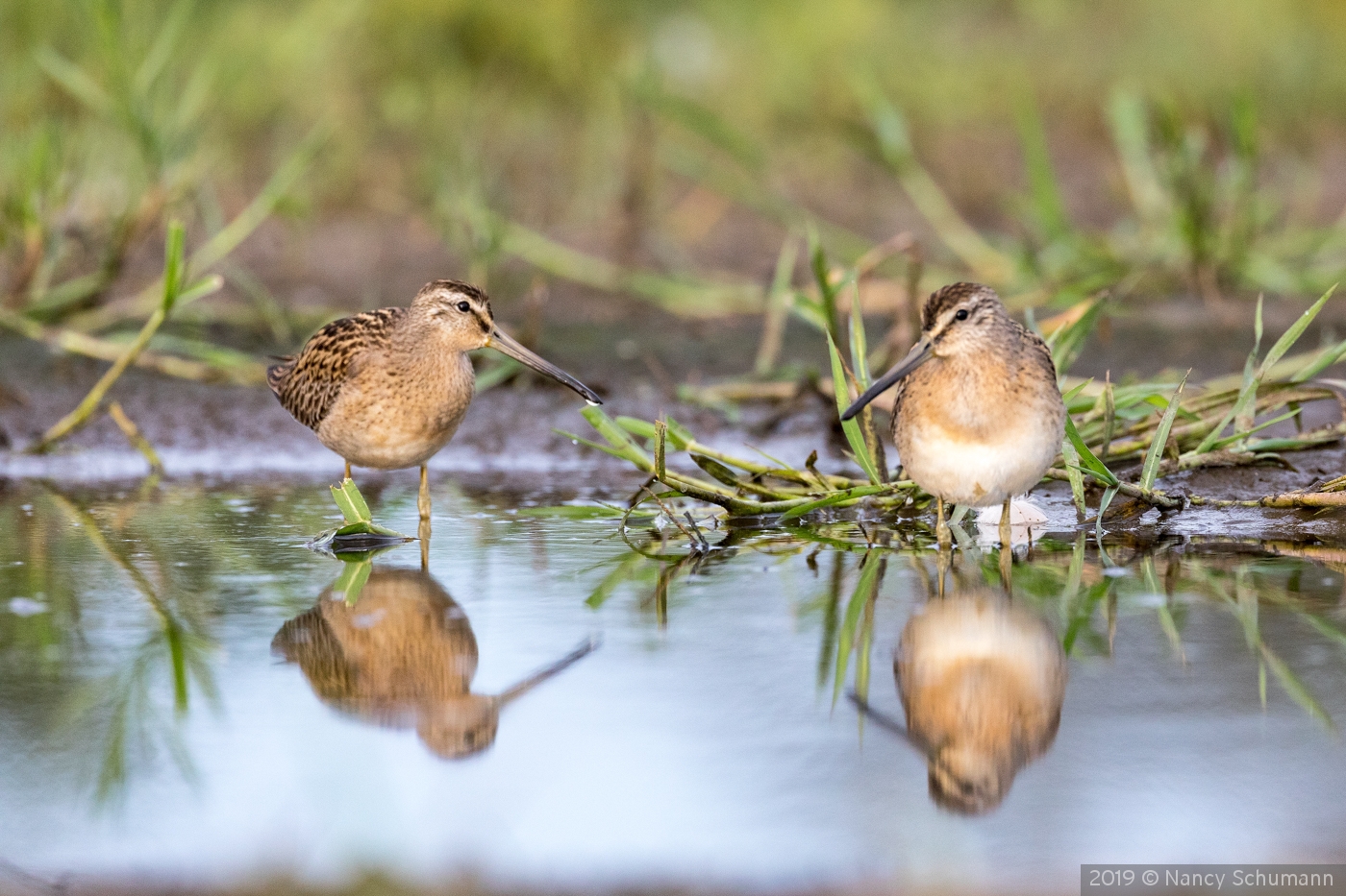 How's the fishing here? by Nancy Schumann