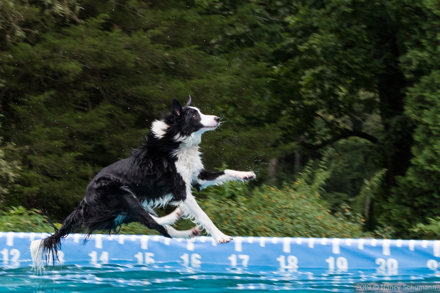 I hope I can swim! by Nancy Schumann