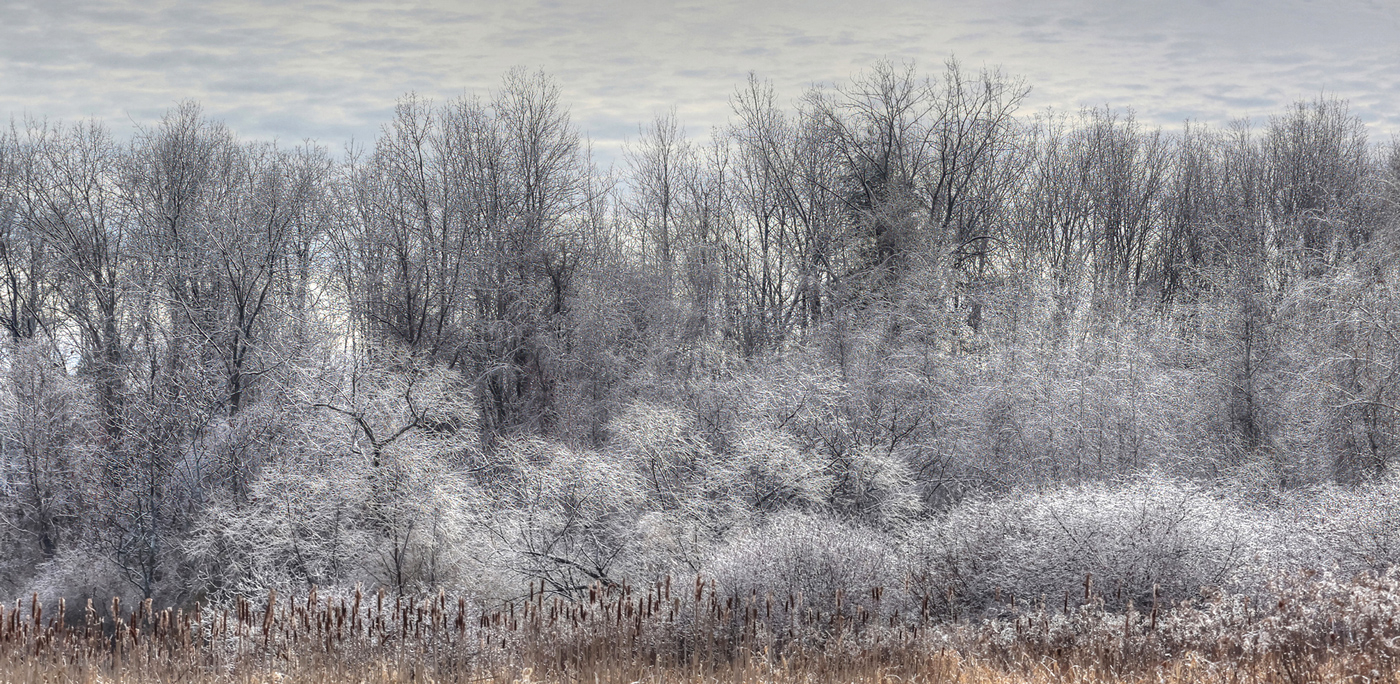 Ice Storm by Ian Veitzer