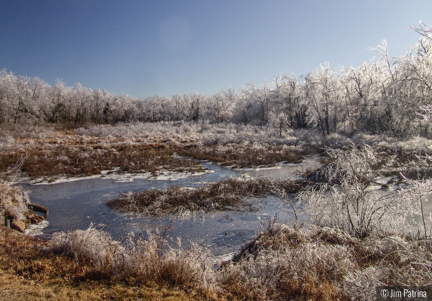 Ice Storm by Jim Patrina