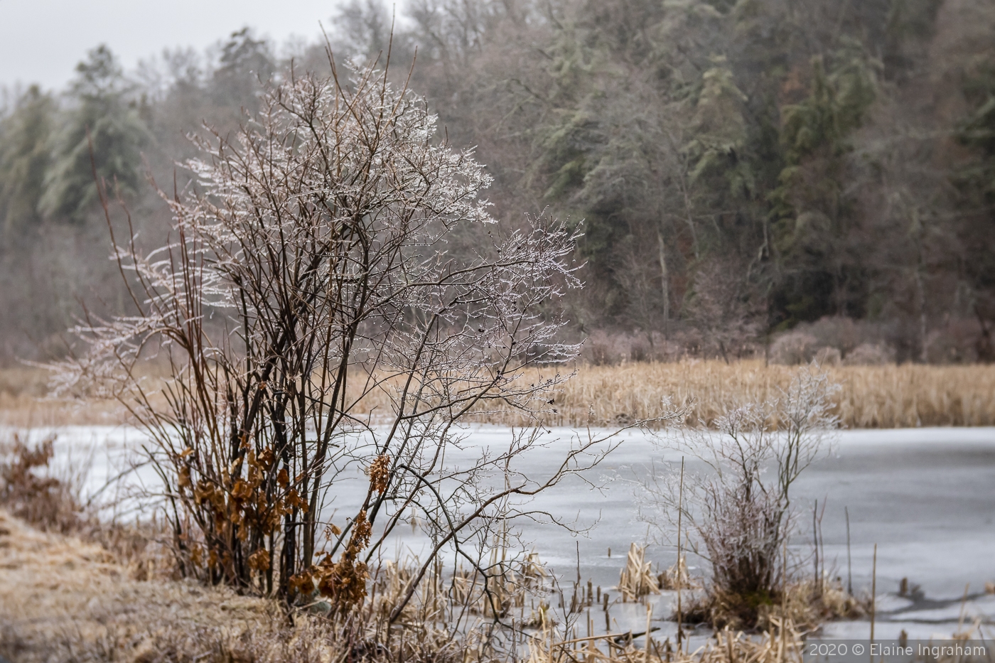 Ice Warning by Elaine Ingraham