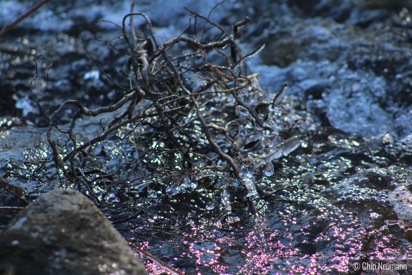 Icy Brook in Mid February by Chip Neumann