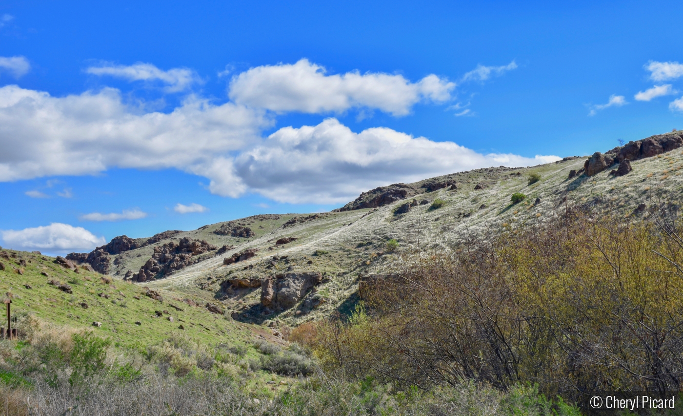 Idaho Landscape by Cheryl Picard