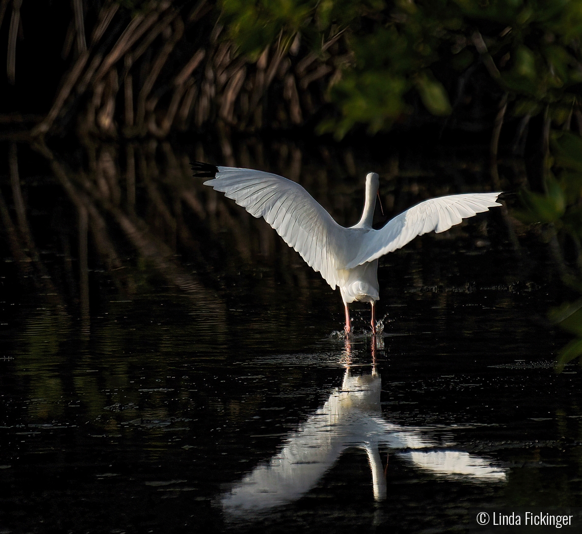 Into the Unknown by Linda Fickinger