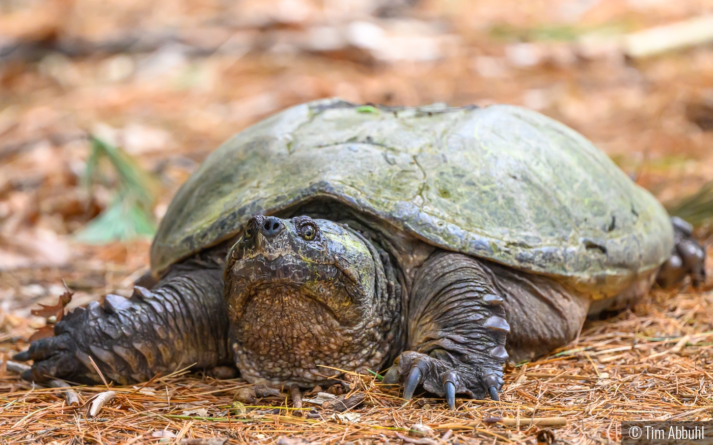 It looks like somebody has a case of the Mondays by Tim Abbuhl