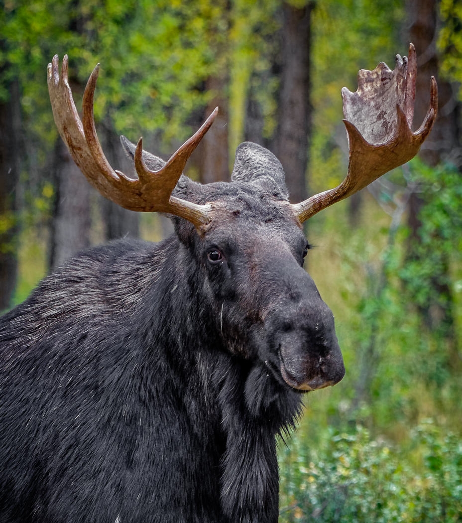 I've Got My Eye On You by John McGarry