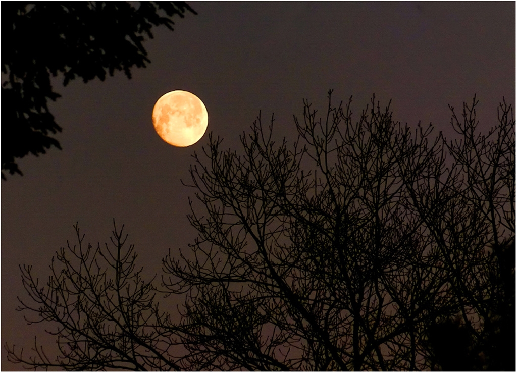 Just Before Sunrise by Bruce Metzger