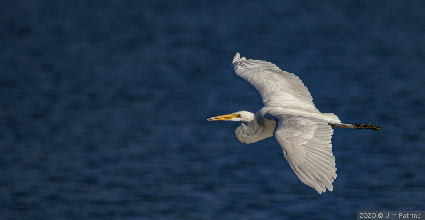 Just Passing Through by Jim Patrina