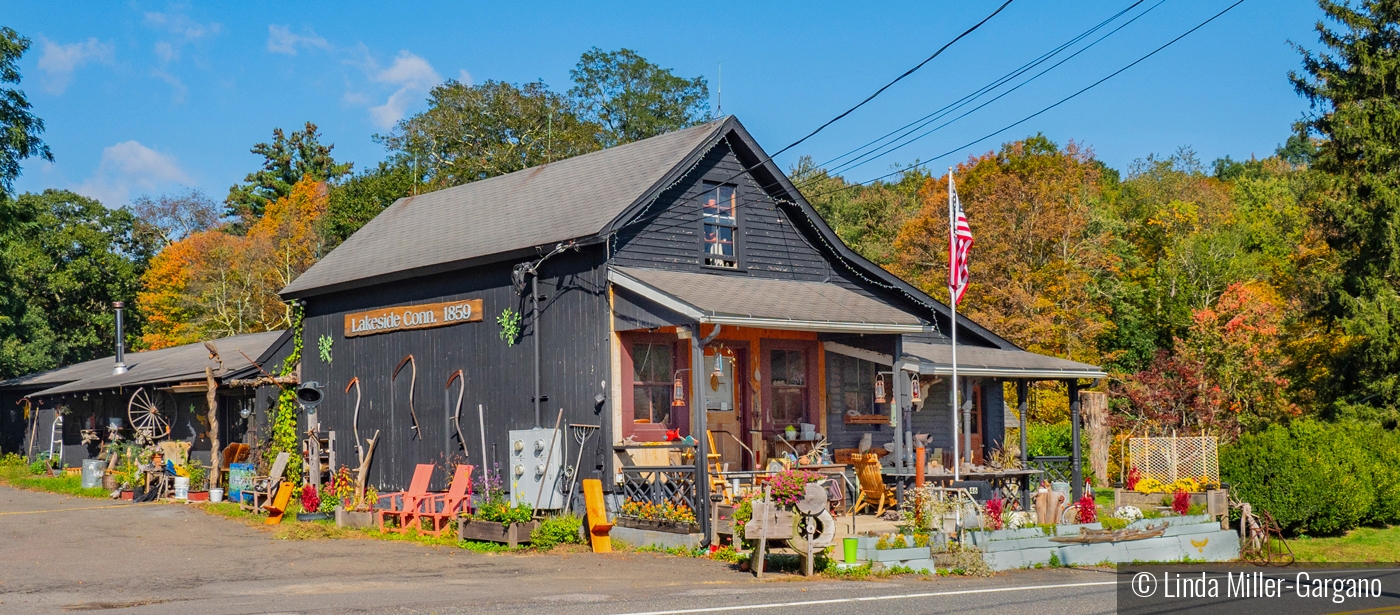 Lakeside Conn 1859 by Linda Miller-Gargano