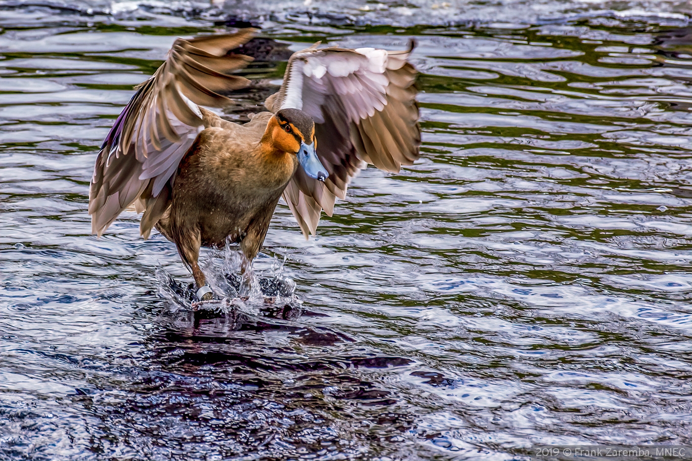 Landing by Frank Zaremba, MNEC