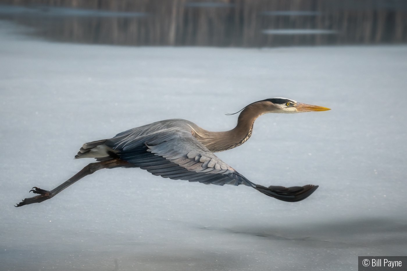 Late Spring Ice Makes for Tough Fishing by Bill Payne