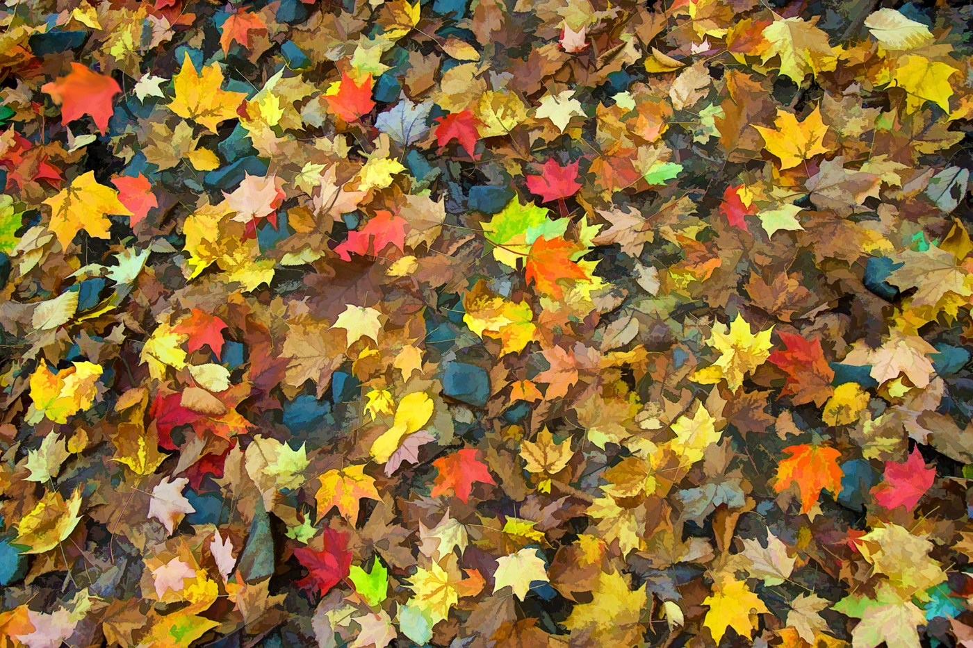 Leaf Abstract by Dolph Fusco