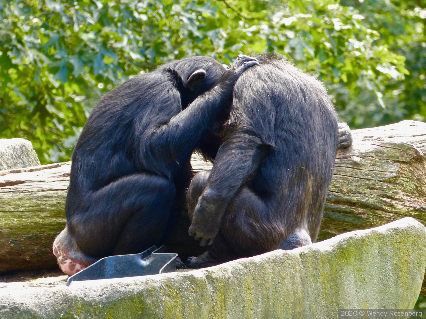 Let me call you sweetheart by Wendy Rosenberg