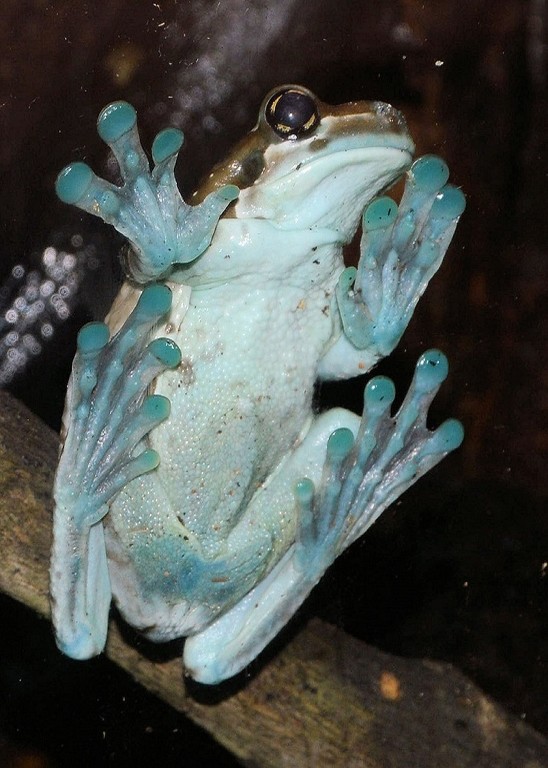 Let Me Out - Photo by Charles Hall