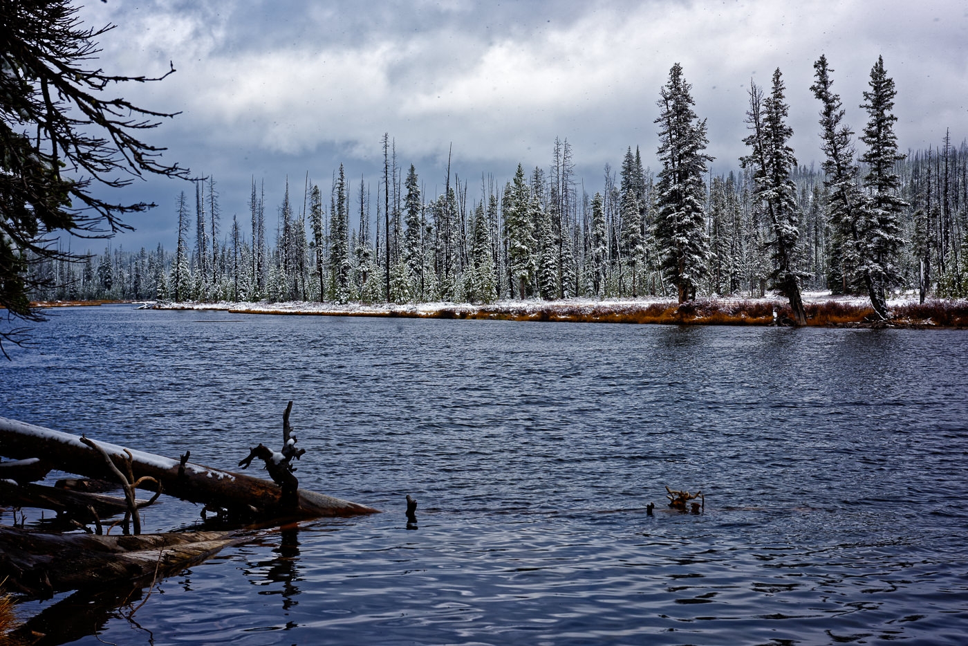 Lewis River Yellowstone NP by John McGarry