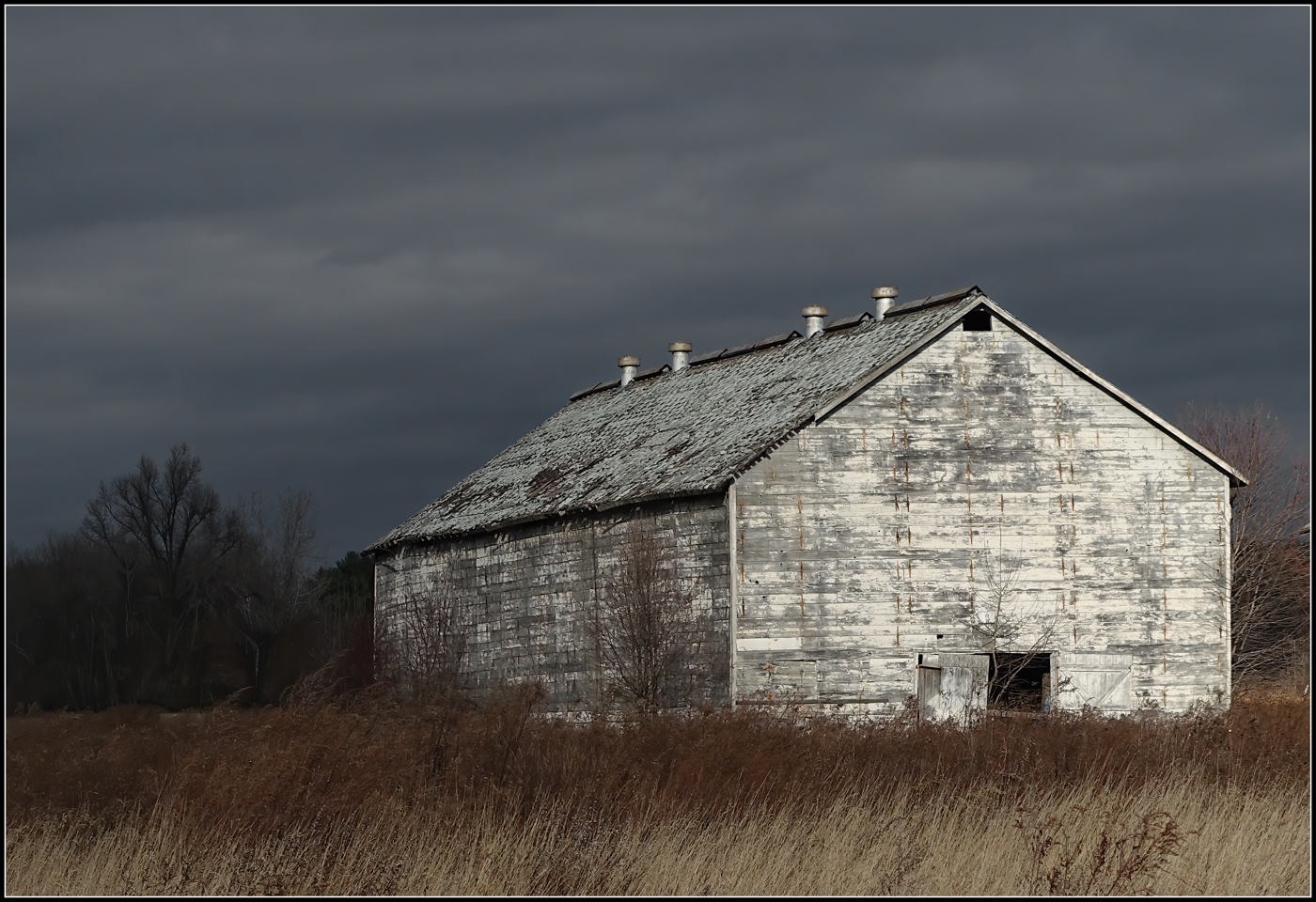 Light Before the Storm by Bruce Metzger