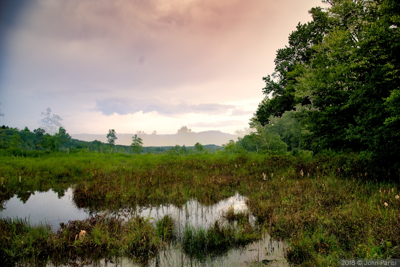 litchfield pond by John Parisi