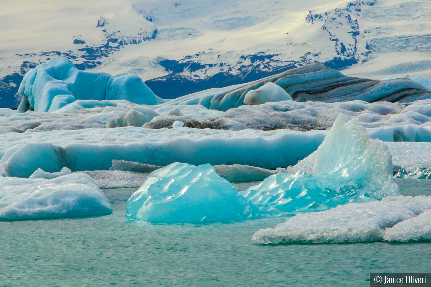 Little icebergs by Janice Oliveri