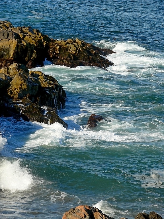 Maine Coast by George Zars