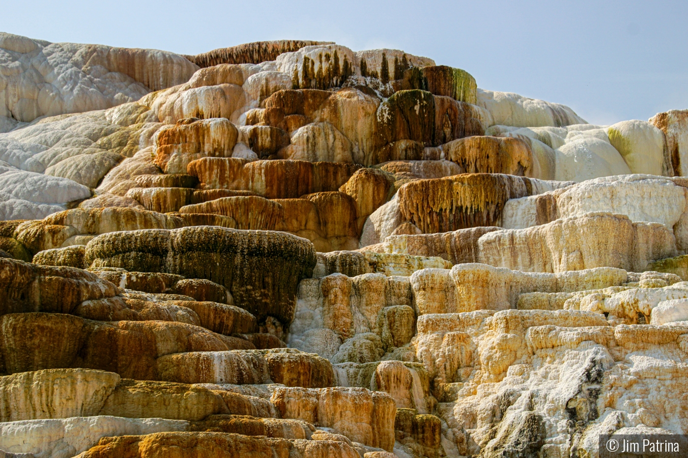 Mammoth Hot Springs by Jim Patrina