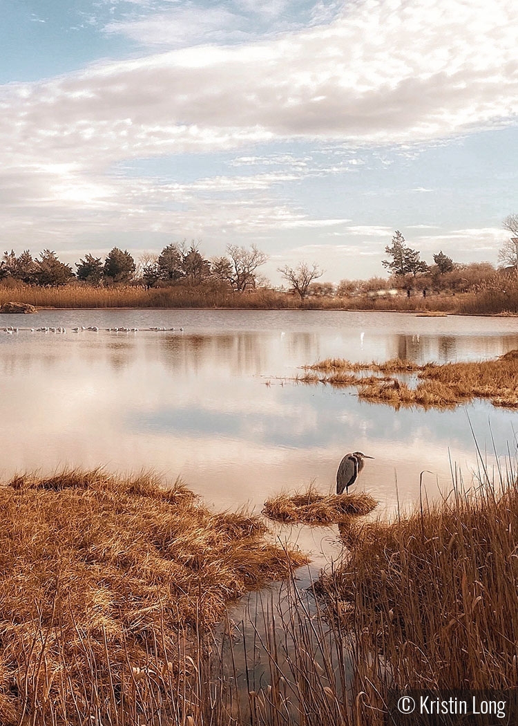 Meigs Point by Kristin Long