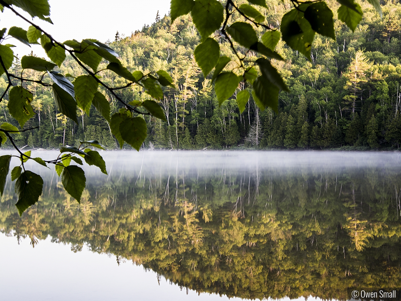 Mirror Image by Owen Small