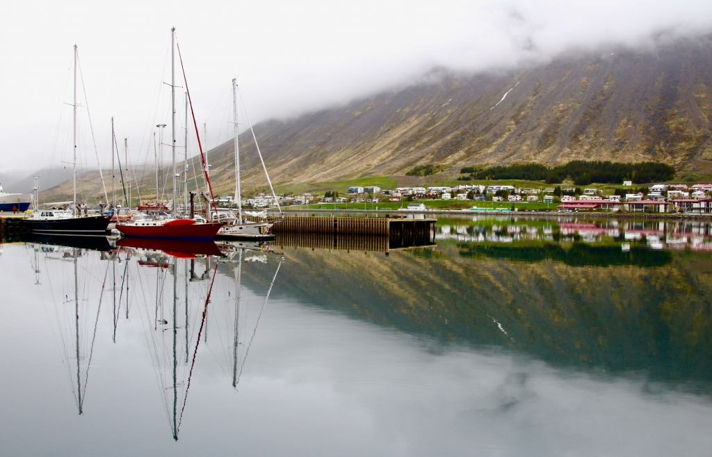 Misty symmetry by Barbara Steele