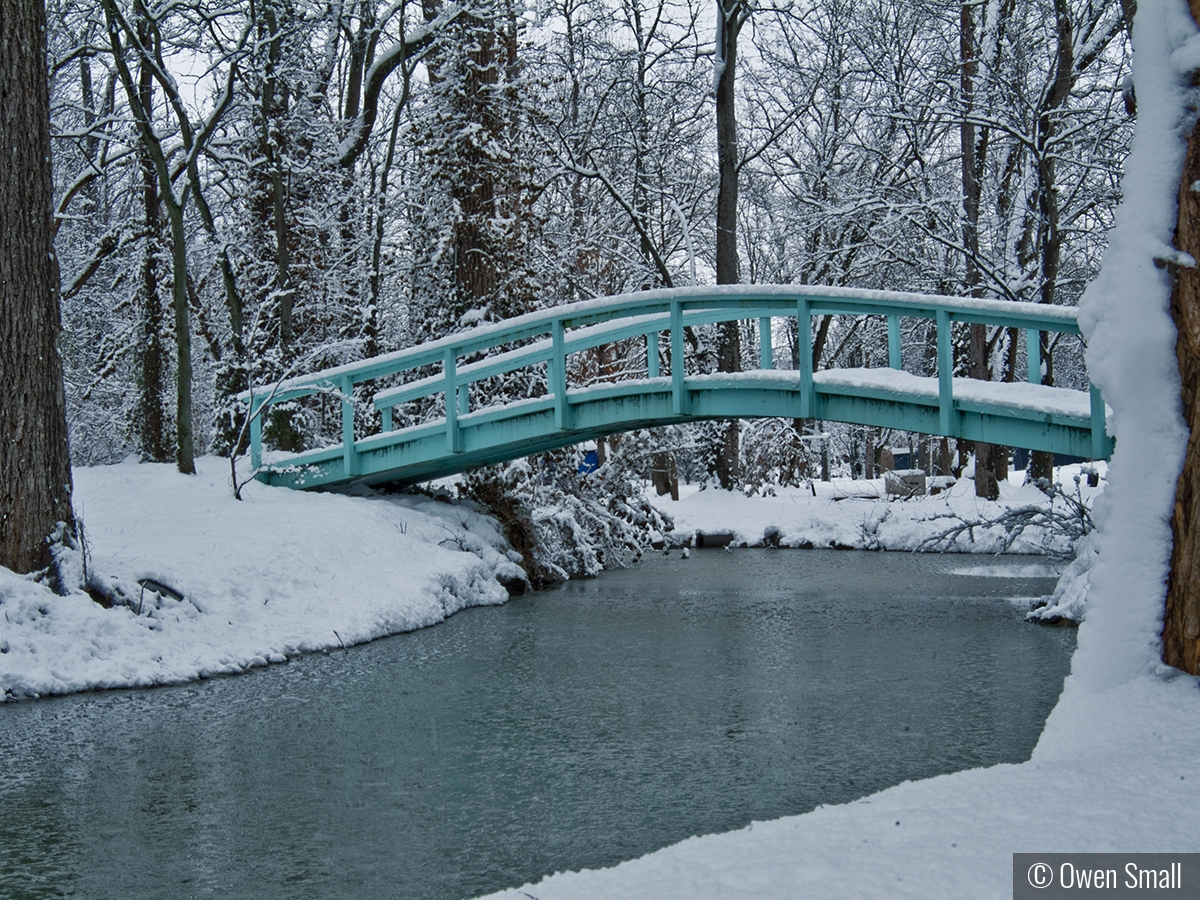 Monet Bridge by Owen Small