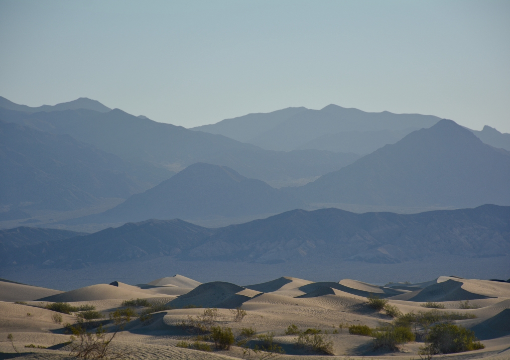 morining in the desert by Ginny Thibodeau