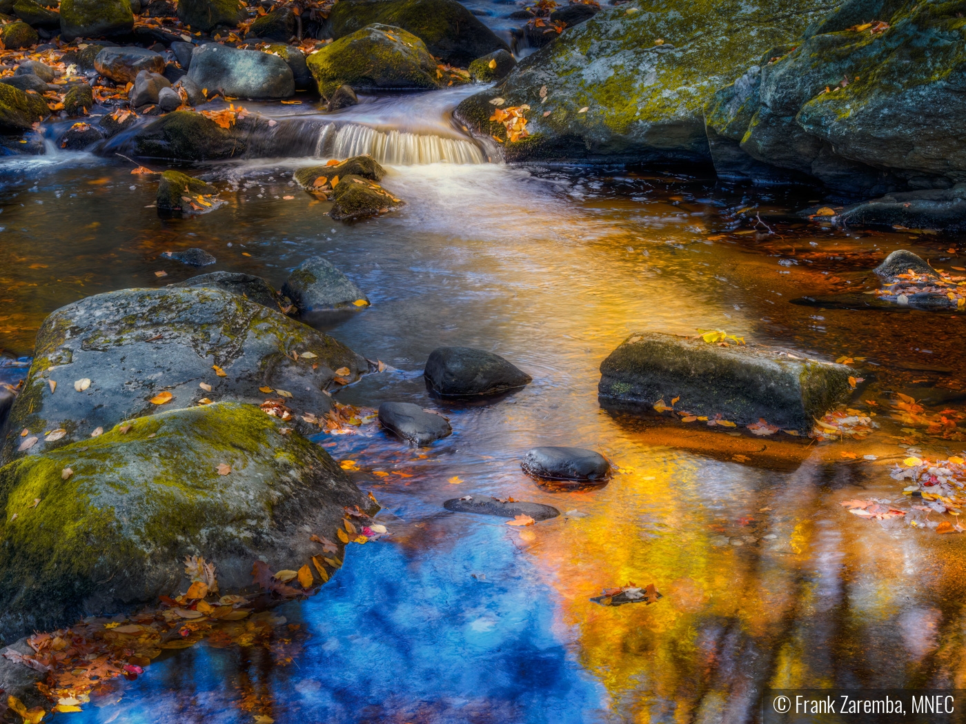 Mornings autum light at Enders by Frank Zaremba, MNEC