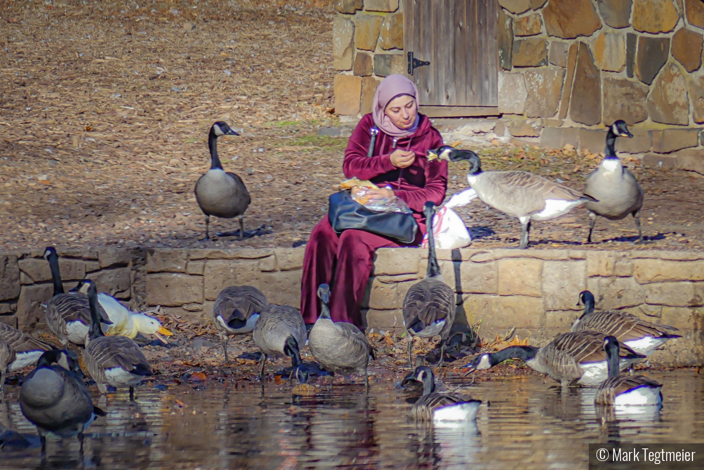 Mother Goose by Mark Tegtmeier