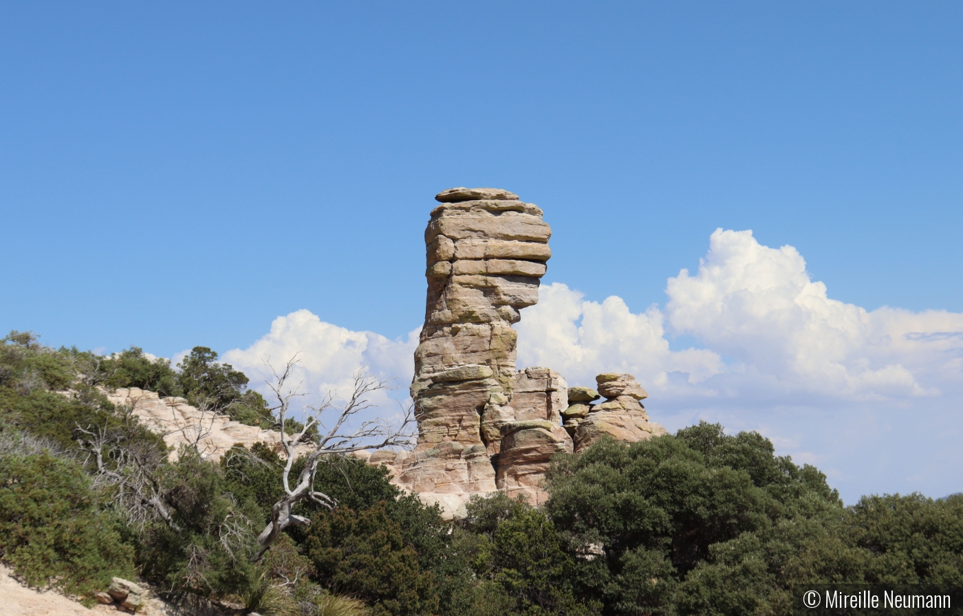 Mount Lemmon AZ by Mireille Neumann