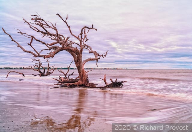 Moving clouds and water. Jekyll Is. by Richard Provost