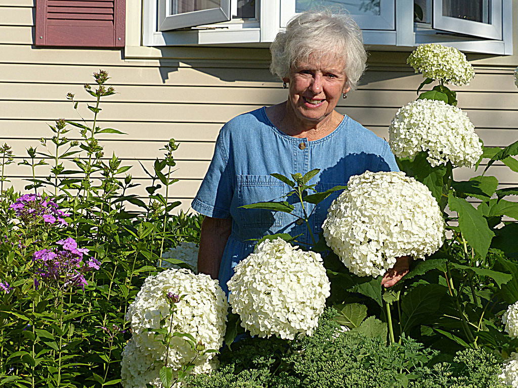 My Flowers by Gil Kleiner