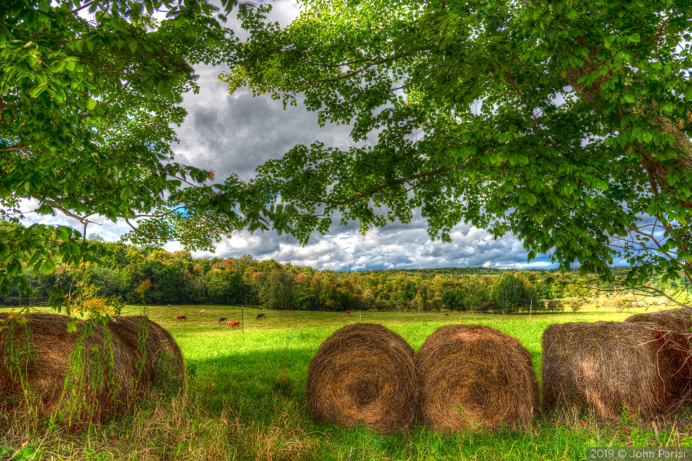 NY Countryside by John Parisi