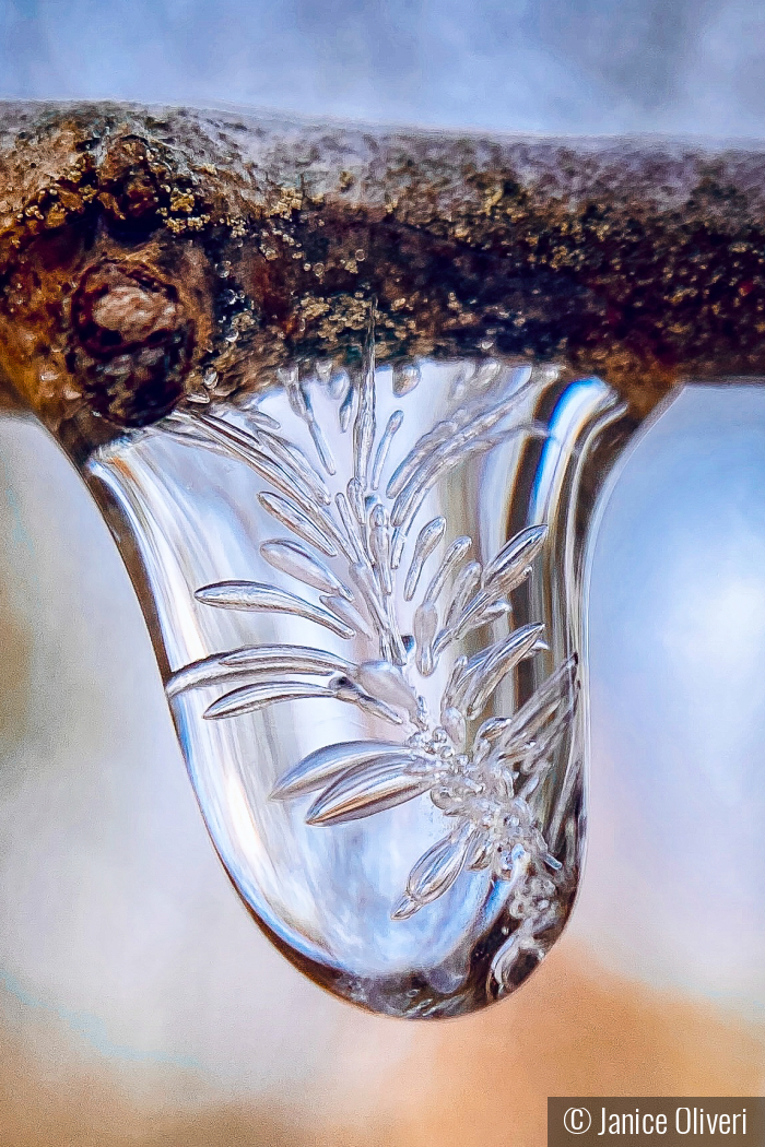 Nature as ice artist by Janice Oliveri