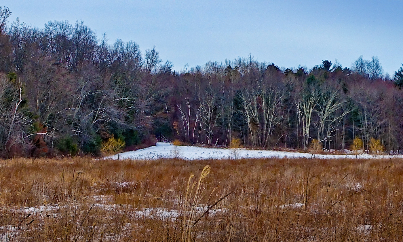 Near Hoskins by Bruce Metzger