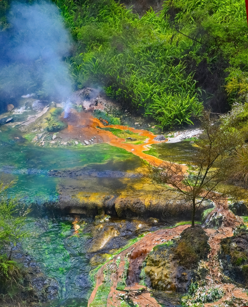 New Zealand Hotspring Chemical Collage by Louis Arthur Norton