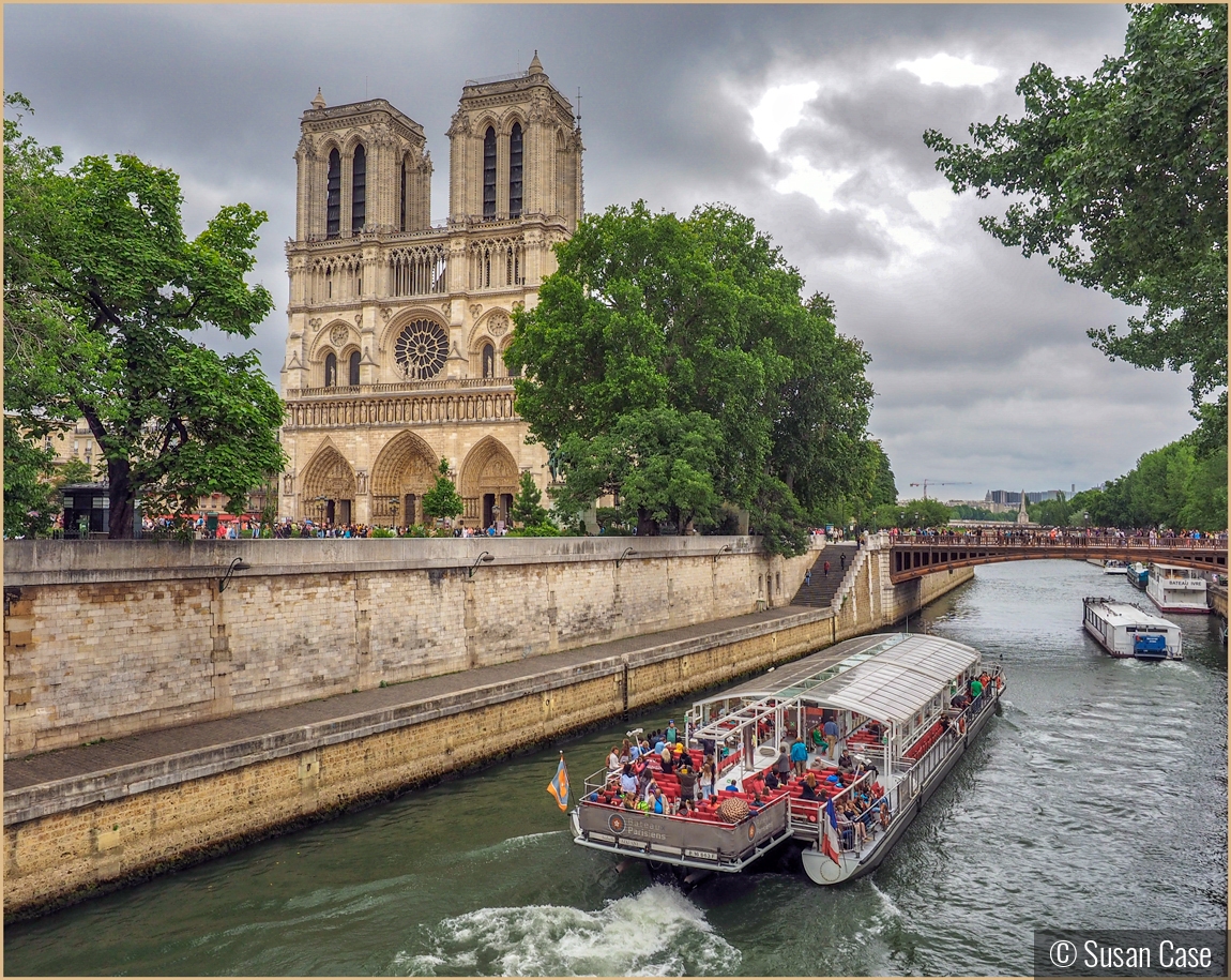 Notre Dame - Before the Fire by Susan Case