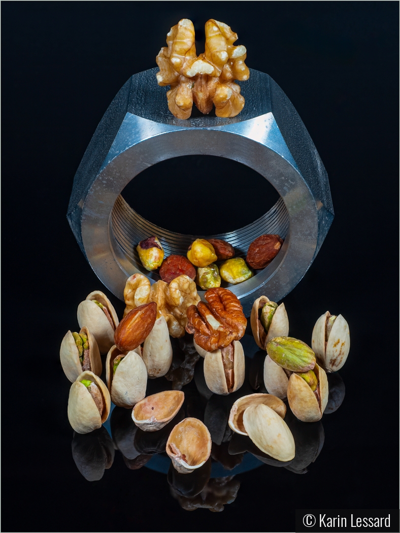 Nuts by Karin Lessard