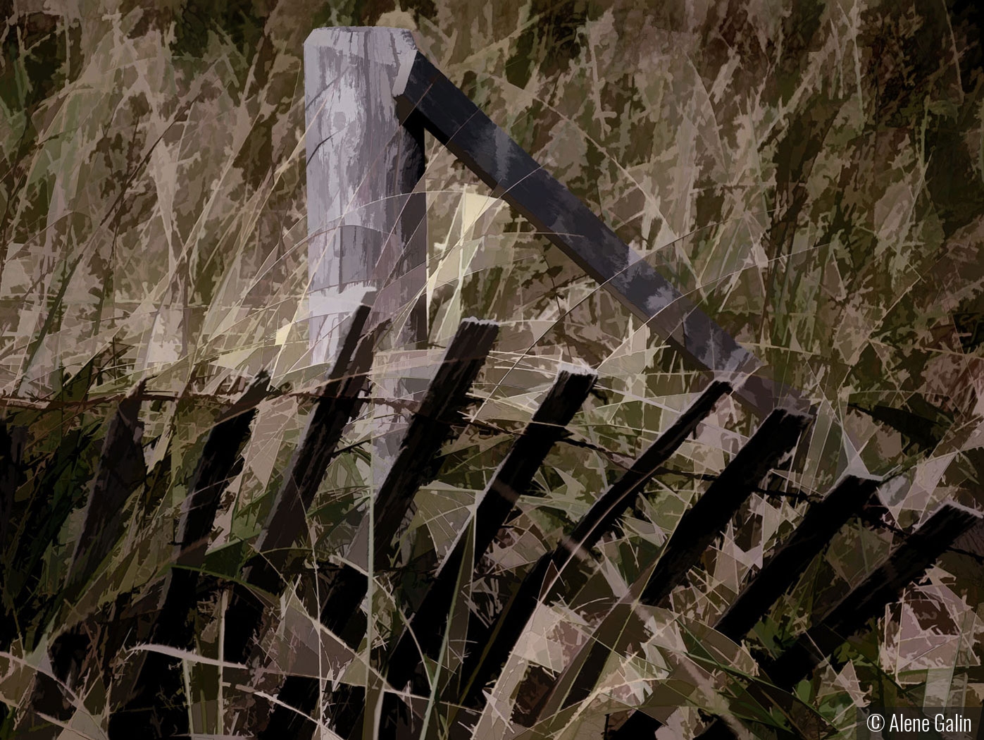 Old Cape Cod Fence by Alene Galin