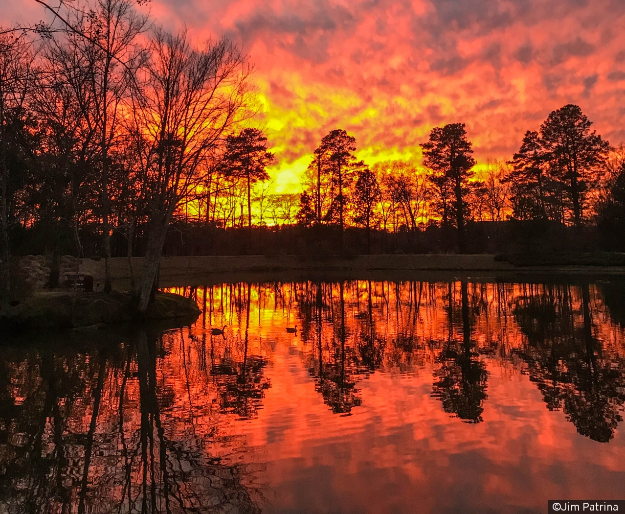 On Golden Pond by Jim Patrina