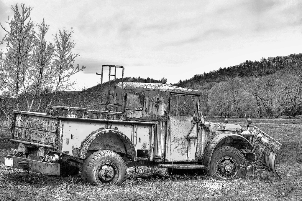 Out To Pasture by Dolph Fusco