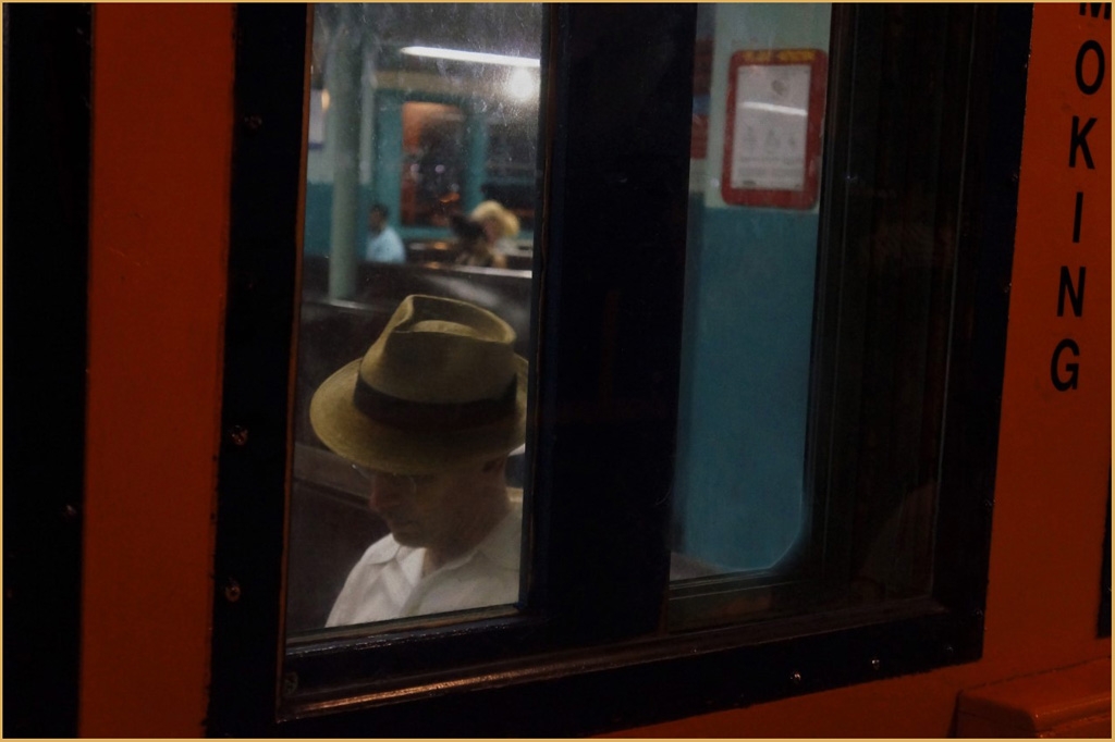 Passenger on the Ferry by Alene Galin